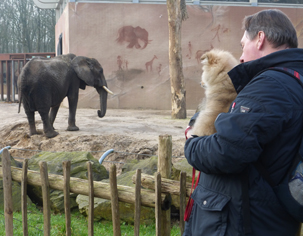 Hoshi 14 weken in de dierentuin