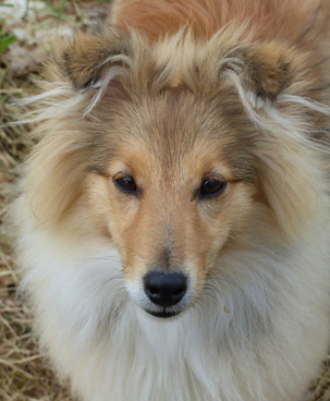 Hoshi 5.5 maanden op het strand