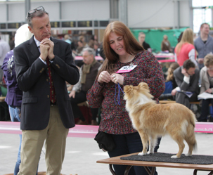 Nyota 5,5 months at show in Hazerswoude