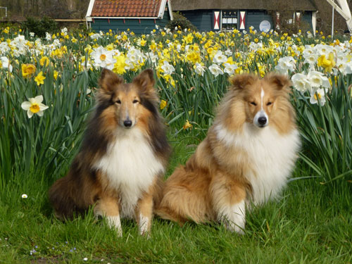 Tuvok en Rishon in de eerste lente