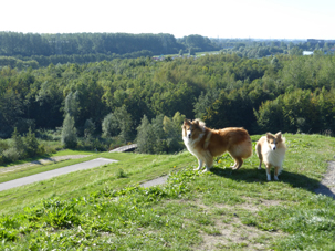 Groene Weelde September 2015