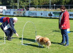 NSV Regiodag West September 2016