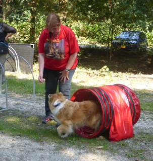 NSV Regiodag Zuid Augustus 2016