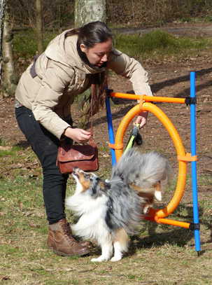 Rainbow Glory Dag 26-03-2017