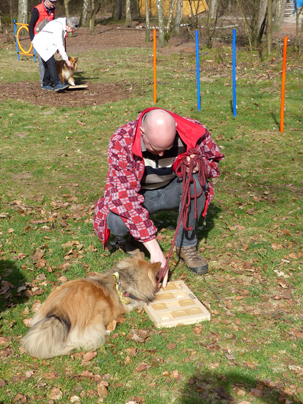 Rainbow Glory Dag 26-03-2017