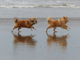 Strand Wijk aan Zee 27-10-2021